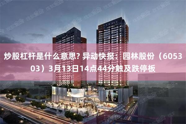   炒股杠杆是什么意思? 异动快报：园林股份（605303）3月13日14点44分触及跌停板