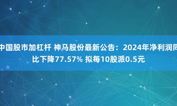   中国股市加杠杆 神马股份最新公告：2024年净利润同比下降77.57% 拟每10股派0.5元