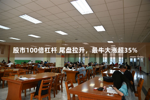   股市100倍杠杆 尾盘拉升，最牛大涨超35%
